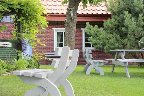 Apartamento Mono House