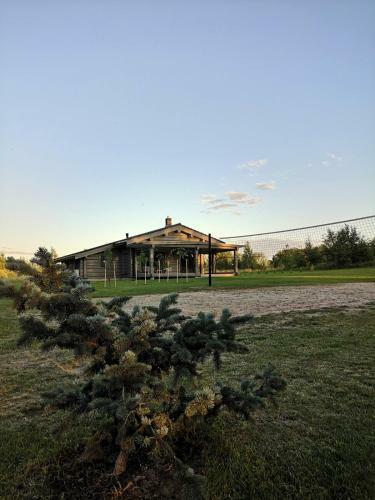 Apartamento Vila Saul?