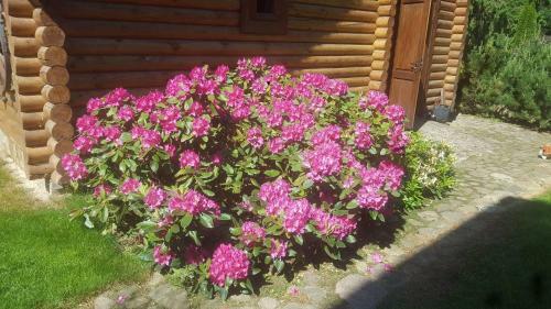 Hostal Sveciu Namelis