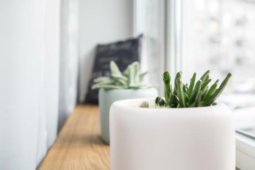 Downtown Apartment Rentals 2