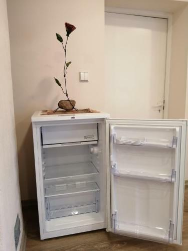 Bed & Breakfast Poilsio Kampelis Zarasuose