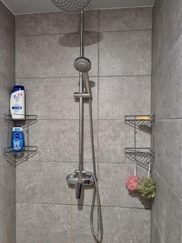 Apartamento Sodyba Po ??uolu