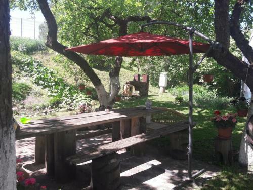 Hostal Aleks