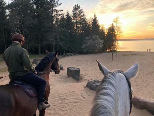 Nature Escape - Villa- Spa- Horses - Lake Plateliai