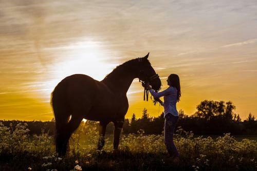 Nature Escape - Villa- Spa- Horses - Lake Plateliai