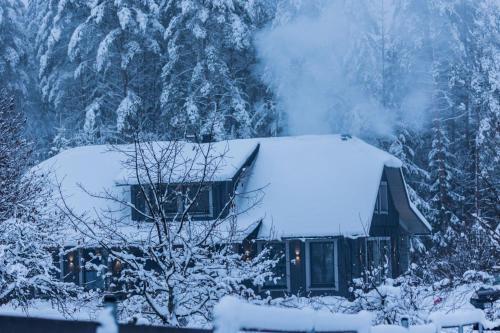 Nature Escape - Villa- Spa- Horses - Lake Plateliai