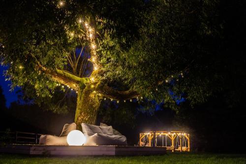 Nature Escape - Villa- Spa- Horses - Lake Plateliai