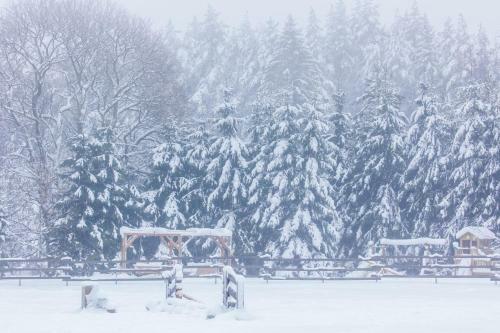 Nature Escape - Villa- Spa- Horses - Lake Plateliai