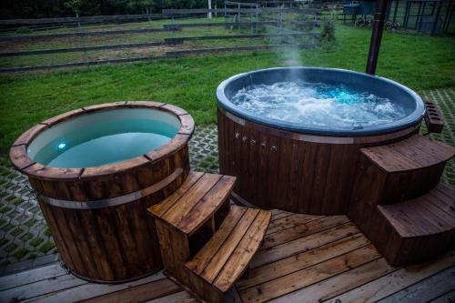 Nature Escape - Villa- Spa- Horses - Lake Plateliai