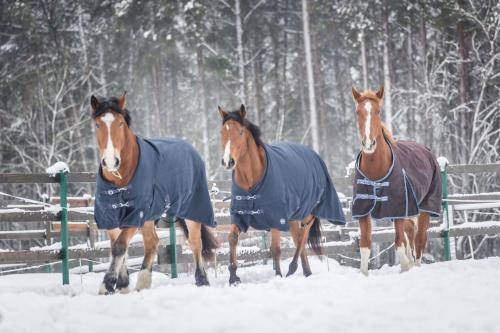 Nature Escape - Villa- Spa- Horses - Lake Plateliai