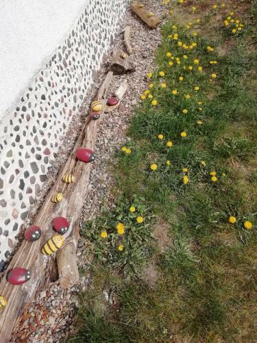 Apartamento Imantas