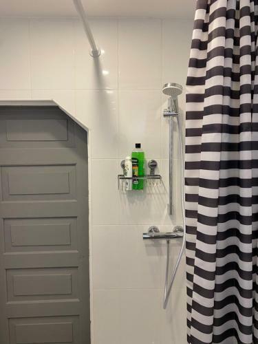 Skrunda Apartments Rustic