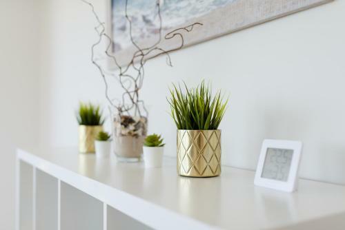 Kiro Apartamentai Elija Palanga ?ventoji