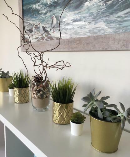Kiro Apartamentai Elija Palanga ?ventoji