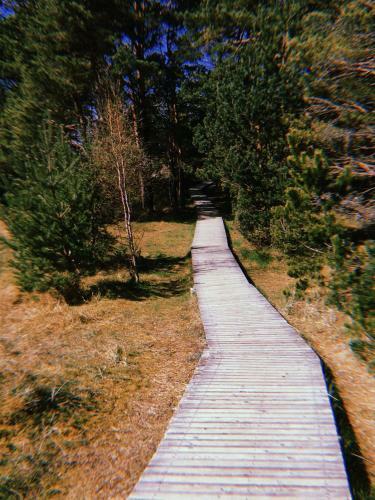Kiro Apartamentai Elija Palanga ?ventoji