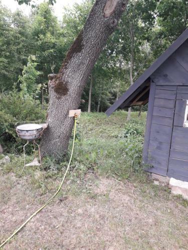 Lodge Tiny House Ru??ni