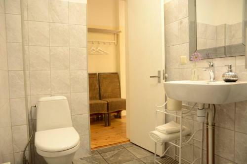 Baumanis Apartamenti