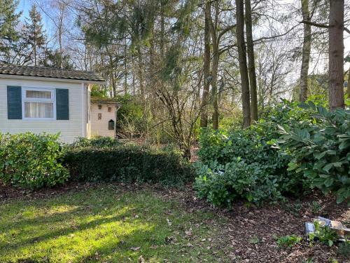 Bos Chalet In Epe Op De Veluwe