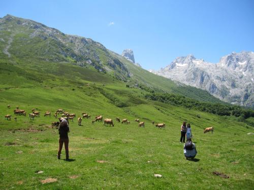 Hostal Hosteria Picos De Europa