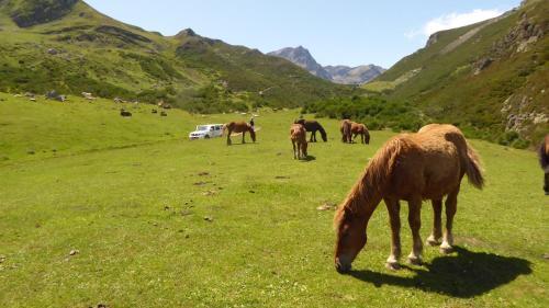 Hostal Hosteria Picos De Europa