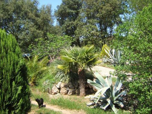 Bed & Breakfast La Radassi�re