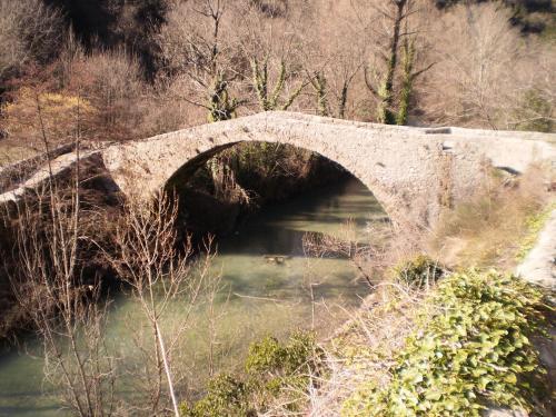 Bed & Breakfast L'ammonite, Chambre & Table D'h�tes