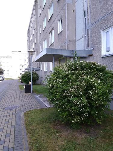 Ld Apartamenti, J?ras 4