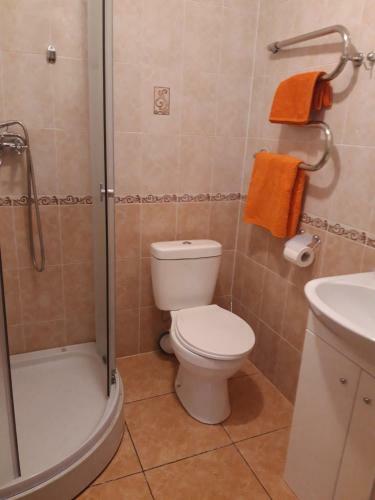 Hostal Viesu Nams Karpati