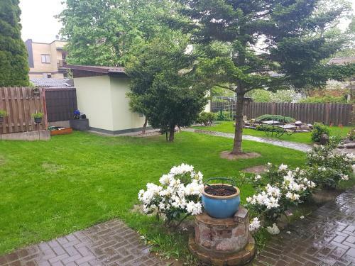 Apartamento Zveryno Guest House