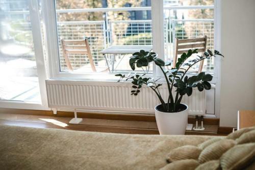 New Apartament Very Close To The City Centre