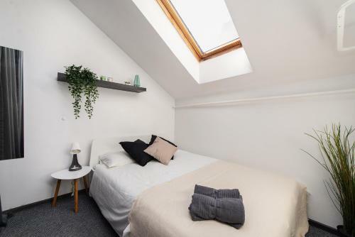 Albergue The House