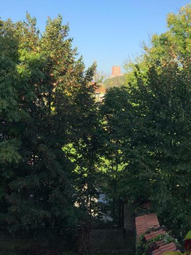 Apartamento Uzupis Riverside Flat
