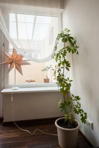 V 12 -terrace + 3 Rooms Apartment Vilnius Old Town