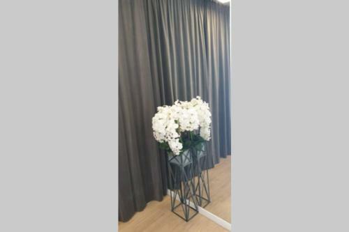 Symphony Ozo Park Apartment