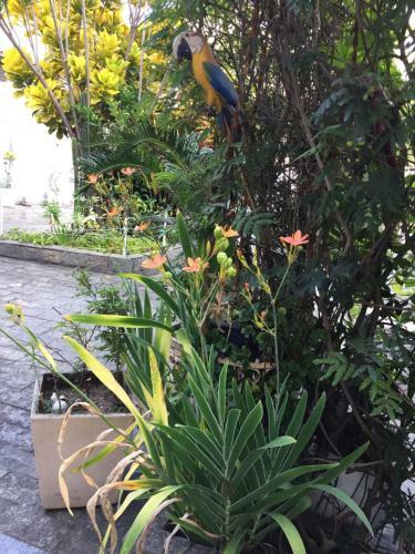 Casa Aconchegante Em Vila Valqueire