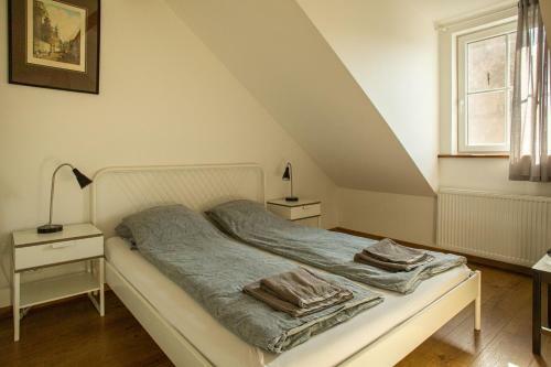Vilnius Downtown Apartment