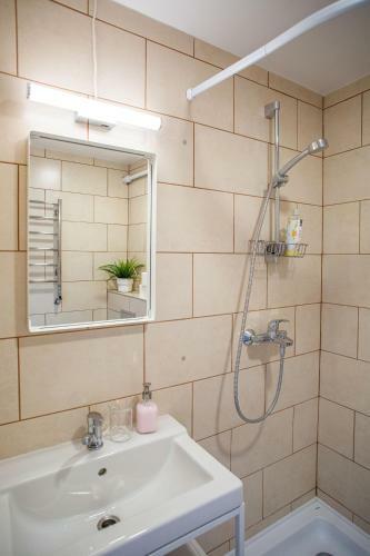 Vilnius Downtown Apartment