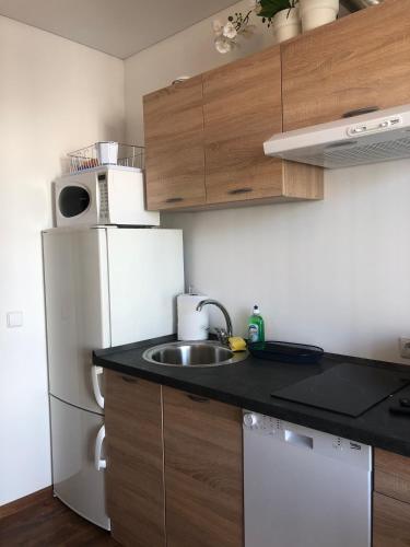 Ozas Apartment 1 And 2