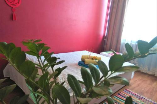 Slucko Central Studio Apartment Near River