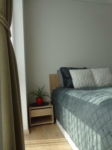 Elzbietos Centro Apartamentai