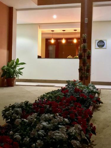 Hotel Ecopousada Garten Haus