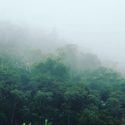Sitio Recanto Da Pregui�a