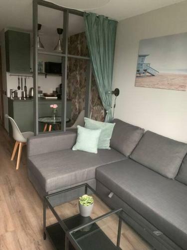 Apartment Near Ozas
