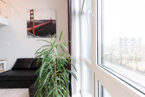 Apartamento Loftas