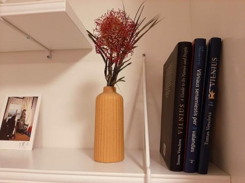 Apartamento Centrally Located Cosy Studio W/free Parking