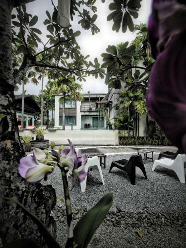 Hotel Paragon Inn