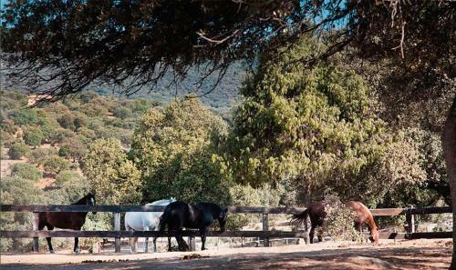 Lantero Horse & Lodge