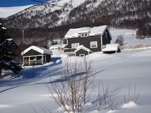 Apartment Between Ustaoset And Geilo