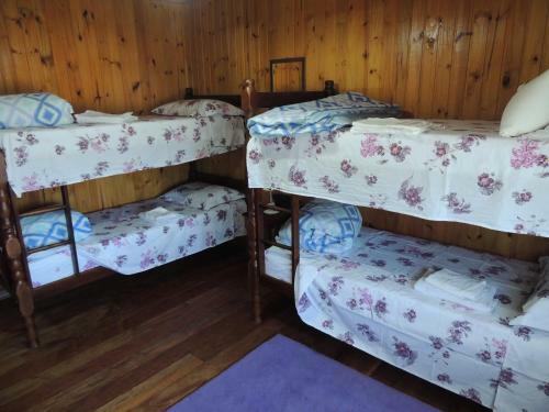 Recanto Dos Oliveiras Hospedada Por Dick E Clair
