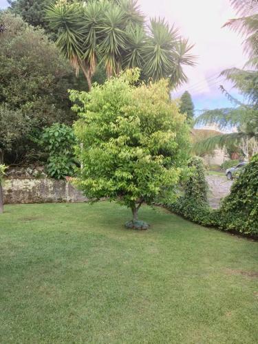 Recanto Dos Oliveiras Hospedada Por Dick E Clair